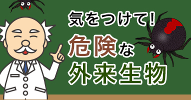 気を付けて！危険な外来生物