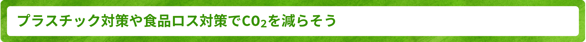 プラスチック対策や食品ロス対策でCO2を減らそう