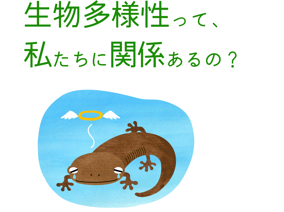 私たちに関係あるの？