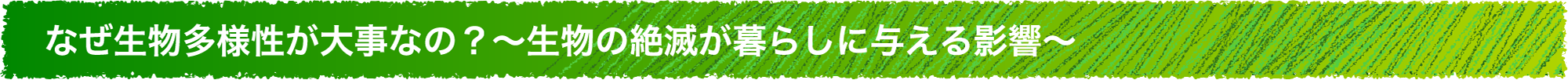 なぜ生物多様性が大事なの？生物の絶滅が暮らしに与える影響。