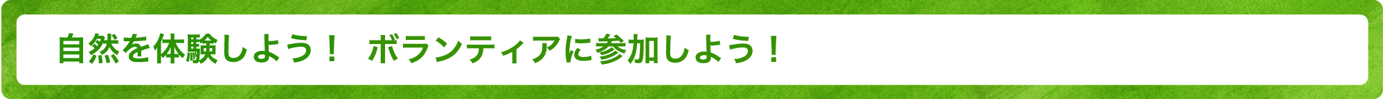 自然を体験しよう！ ボランティアに参加しよう！