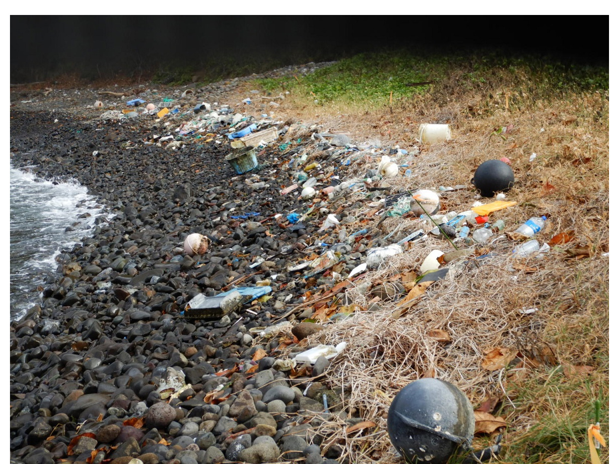 海洋プラスチックごみの写真2枚目